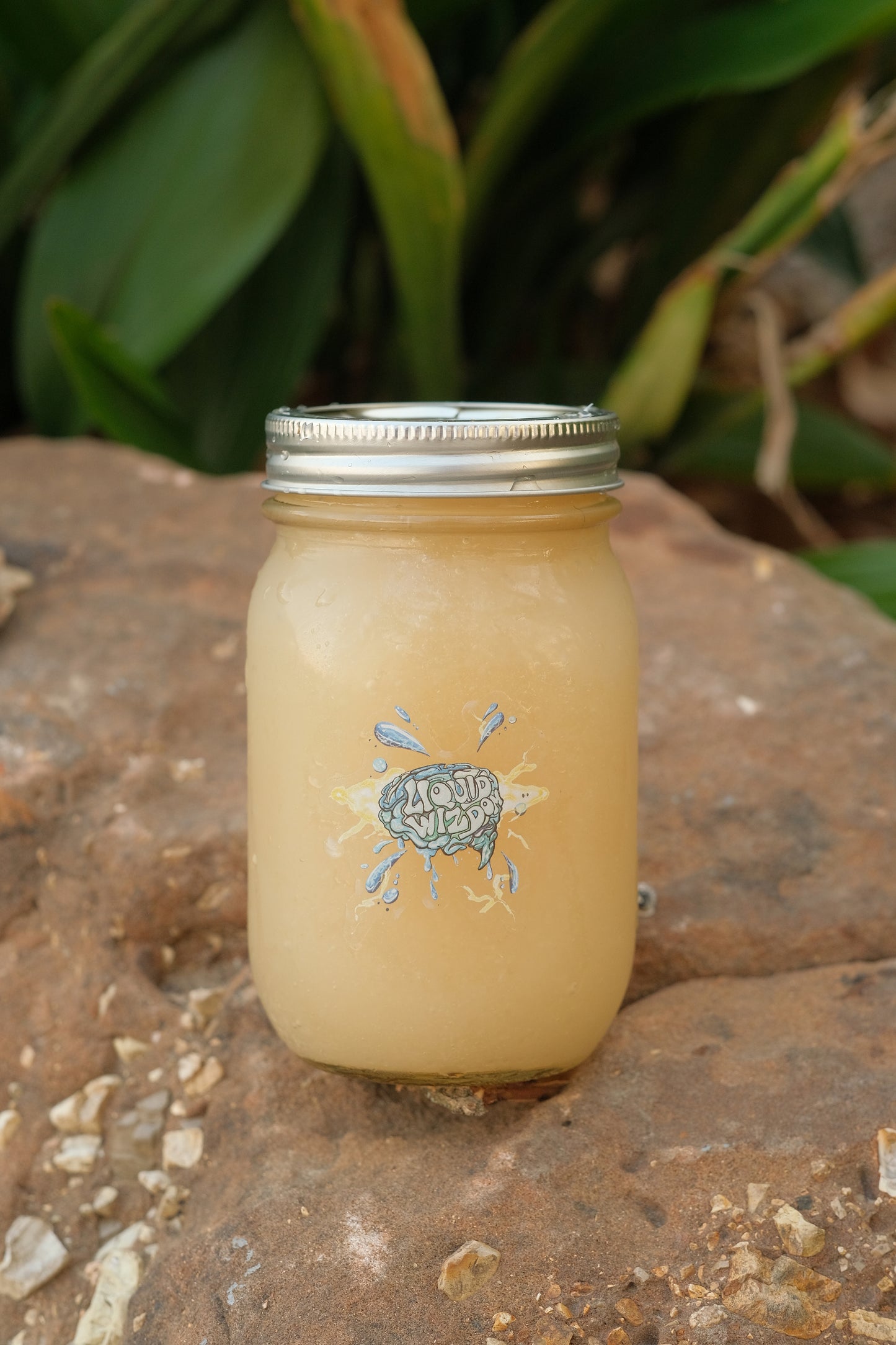 Sea Moss Jelly